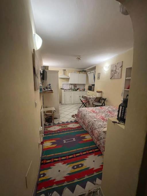 Monolocale Carino Apartment ฟลอเรนซ์ ภายนอก รูปภาพ
